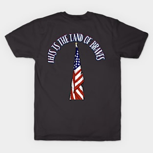 America, usa T-Shirt